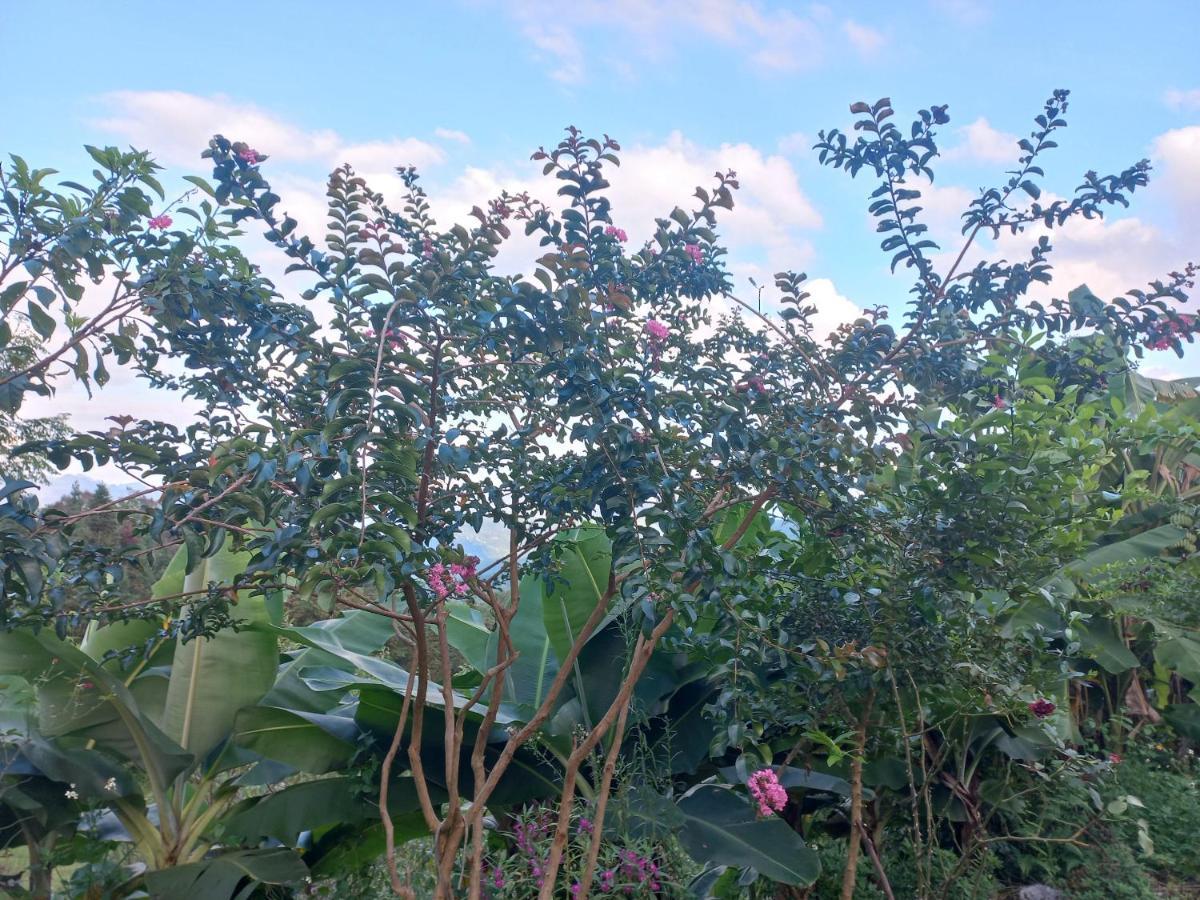 Homestay Hoang Vu 하 기앙 외부 사진