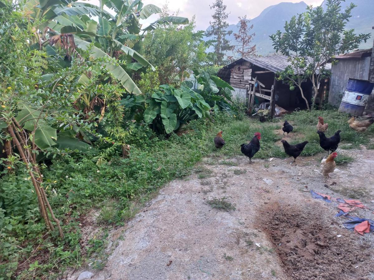 Homestay Hoang Vu 하 기앙 외부 사진