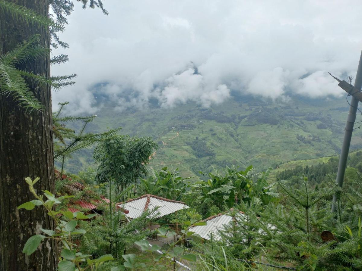 Homestay Hoang Vu 하 기앙 외부 사진